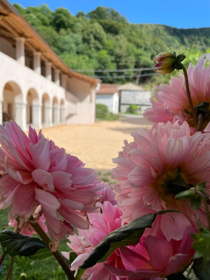Agriturismo Il Bosco Camere Vittorio Vêneto Exterior foto